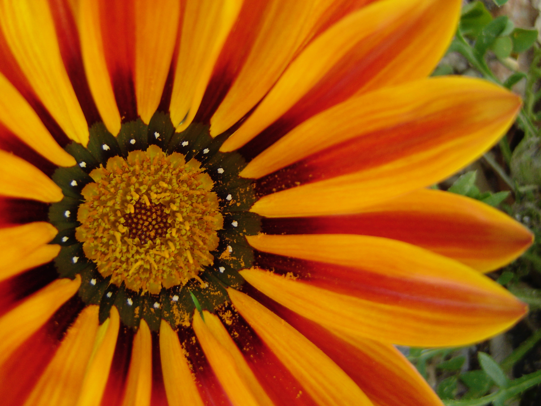 Acupuncture Reduces Arthritis Pain